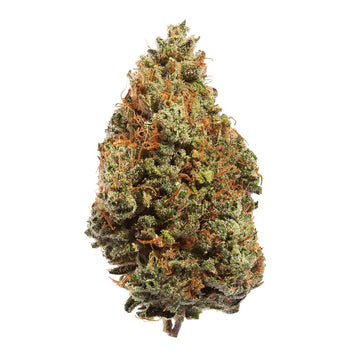 Dried Cannabis - MB - Doja Elation Flower - Grams: